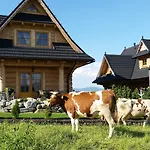Chalet Osada Maruszyna Szaflary